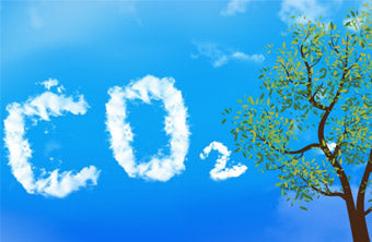 Carbon Dioxide Detector